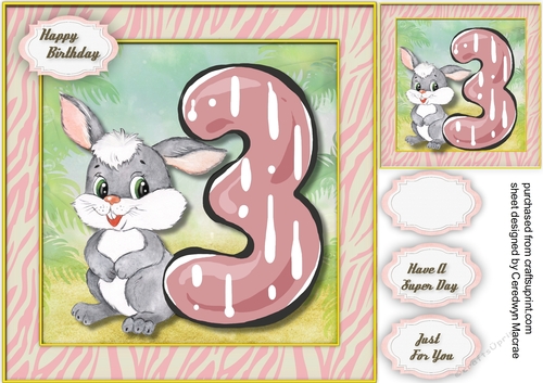 Rabbits  3rd Birthday