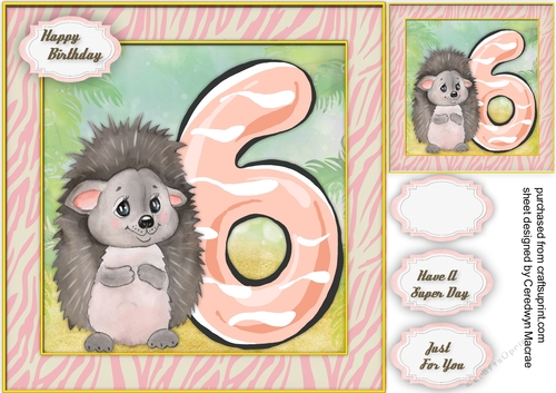 Hedgehogs  6th Birthday