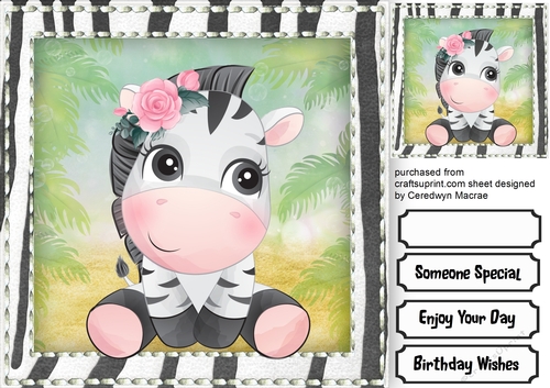 Cute Little Zebra