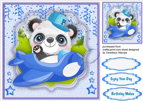 Pandas Blue Plane