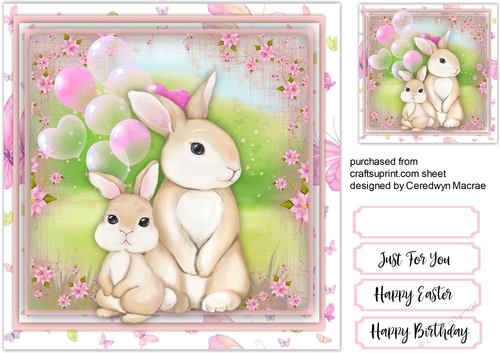 Beautiful Bunny Love
