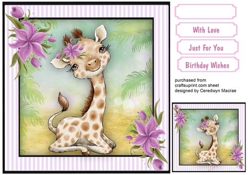 Gorgeous Baby Giraffe  with Flower 