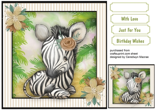 Gorgeous Baby Zebra with Flower 