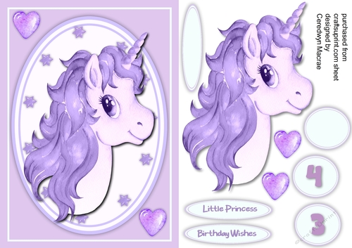 A5 Beautiful Princess Unicorn  2