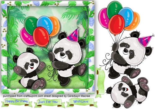 Happy Birthday Panda  2