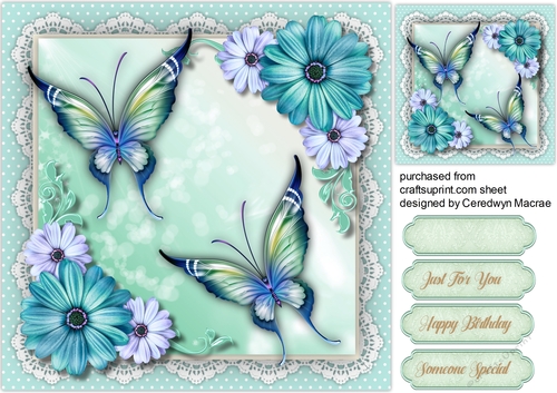 Beautiful Aqua Butterflys and Daisys 