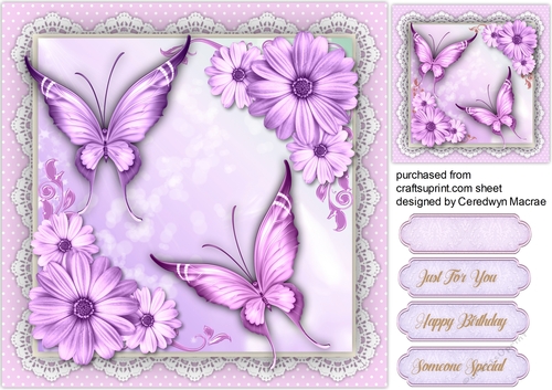 Beautiful Lilac Butterflys and Daisys 