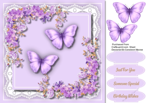 Lilac Rhapsody on Lace