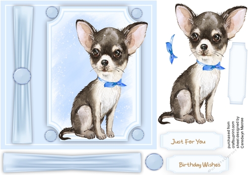 Beautiful Chihuahua in a bow tie 