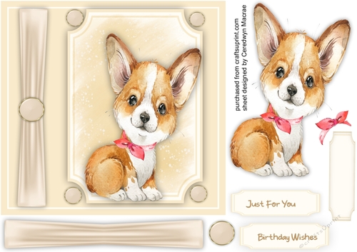 Beautiful Corgi in a bow tie 