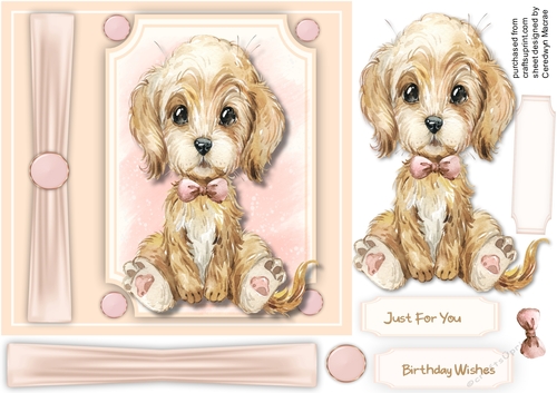 Beautiful Labradoodle in a bow tie 