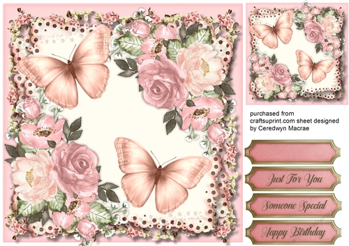 Beautiful French Roses and Butterflys 
