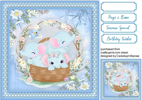 A Basket of Elephants