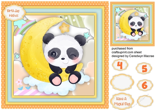 Beautiful Panda on the Moon