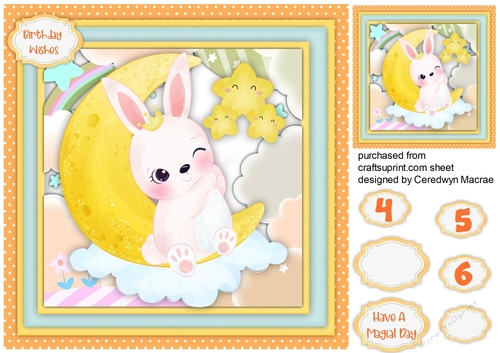 Beautiful Rabbit on the Moon