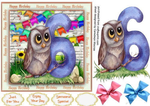 Cute Birthday Owl 6
