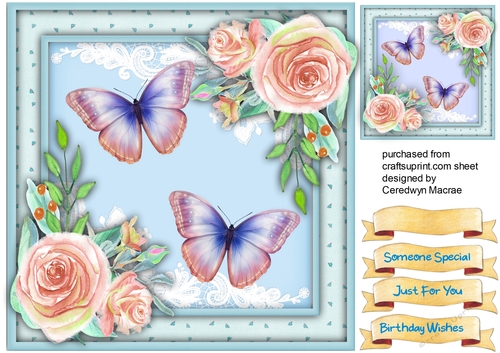 Beautiful Flutters and Roses