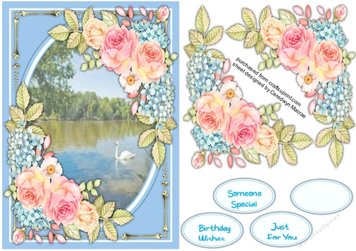 A5 Beautiful Summer Swan
