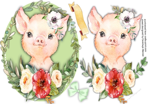 Beautiful Baby Pig