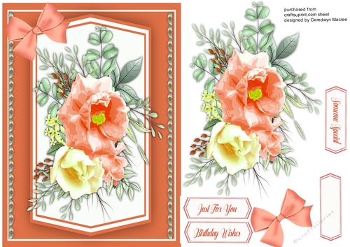 Water coloured  Blush  Dreams