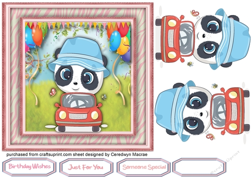Cute Pandas  New Car