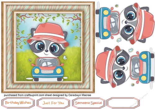 Cute Raccoons  New Car