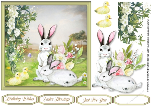 Rabbits and Ducks in the Meadow