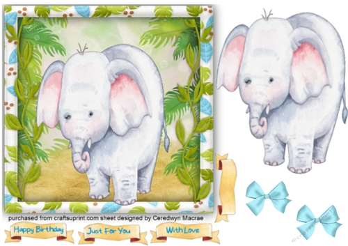 Elephant in a Safari Frame 
