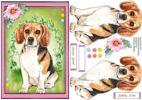 Beautiful Beagle Dog 