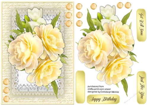 Beautiful Buttercup Yellow Roses