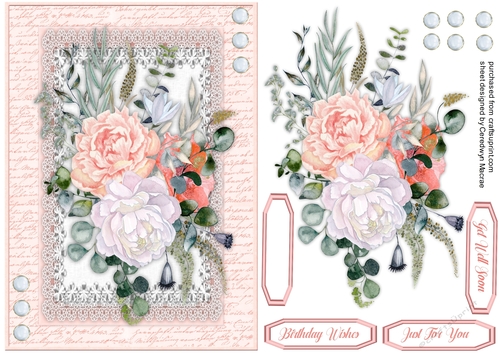 Beautiful Pink and White Roses
