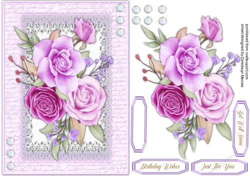 Beautiful lilac Roses