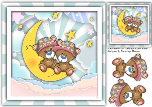 Teddys To The Moon and Back 