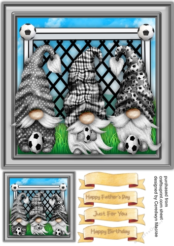 Black and White Football Gnomes