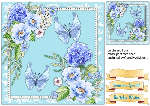Aqua Flowers and Butterflys