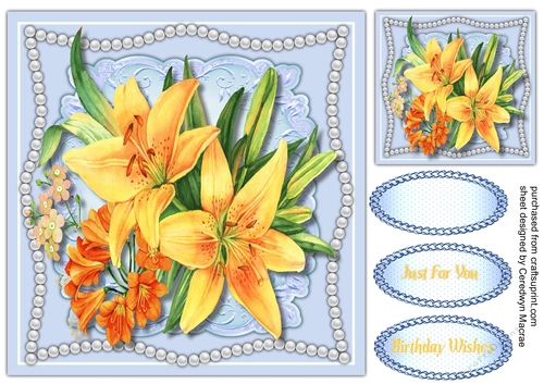 Beautiful Lilys  and Pearls