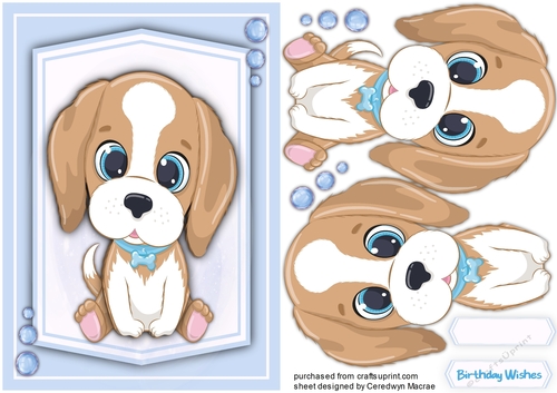 A5 , Doggie Love 1