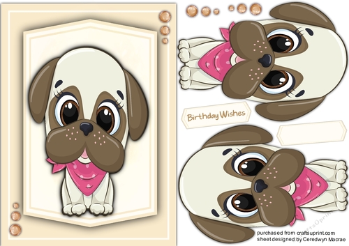 A5 , Doggie Love 6