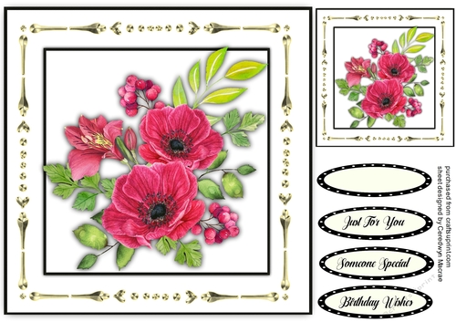 Gorgeous  Red Anemones 