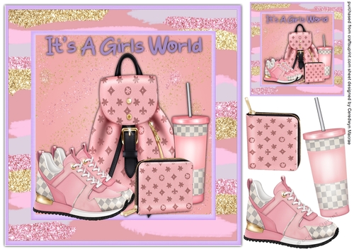 Its A Girls World