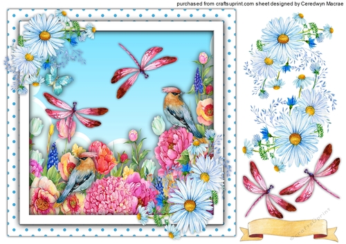 Beautiful Birds and Dragonflys