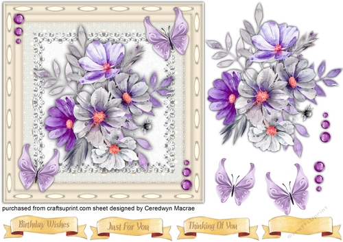 Butterflys and Flowers