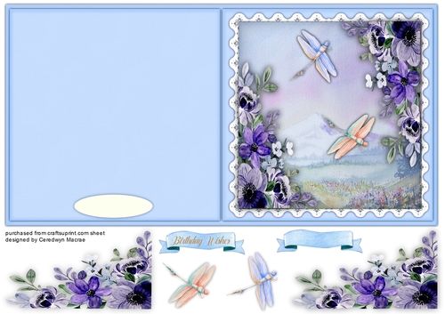 Flight of the Dragonfly