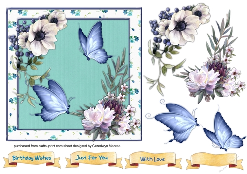 Beautiful Blossom and Butterflys 