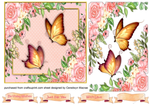 Beautiful Roses  and Butterflys 