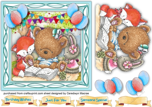 7x7 , Bears Story Time