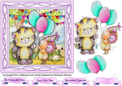 7x7 , Cat and Mouse Birthday