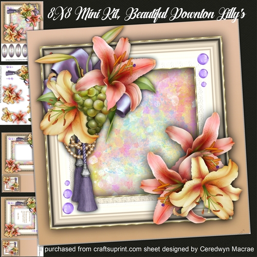 8x8 Mini Kit , Beautiful Downton Lillys