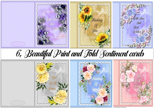 6, Beautiful Print and Fold Sentiment cards 