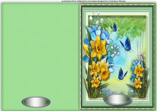 A5 Daffodils and Blue Butterflys 